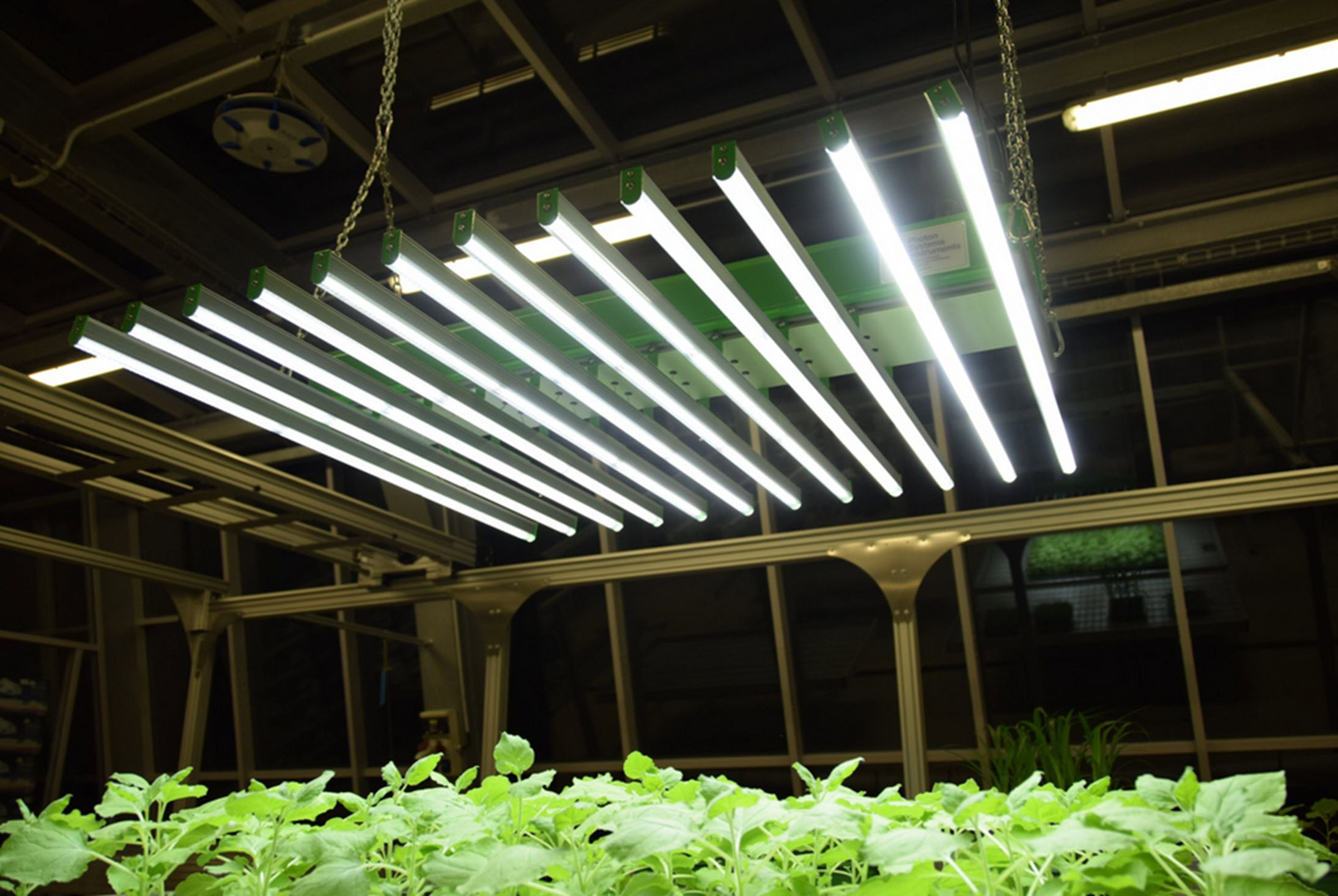 LED-Horiculture (1)